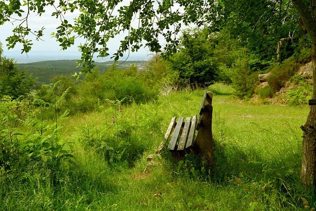 和精妙的旋 和精妙的旋