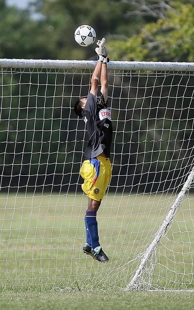 在比赛中 在比赛中