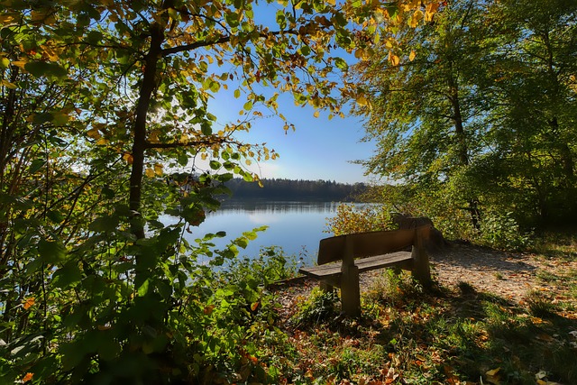 赛中运气对 赛中运气对