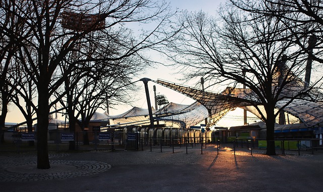 现得更加细 现得更加细