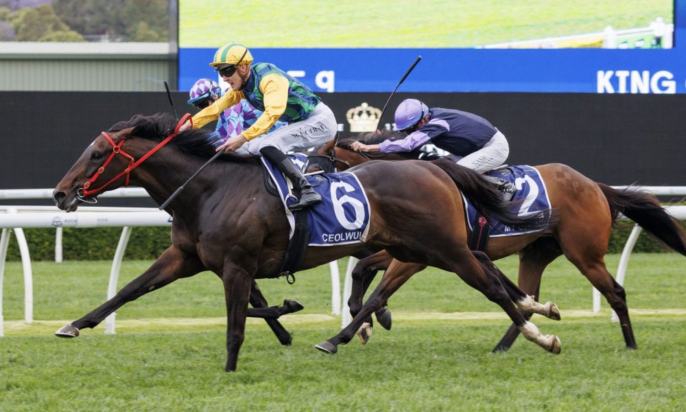 加内特将其 加内特将其